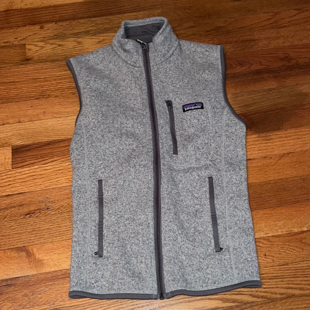 Mens Patagonia vest